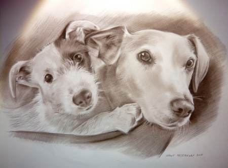 Tierportraits