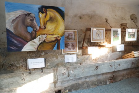Tierportraitgalerie im Stall